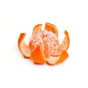 孙俪拍的特黄录像
